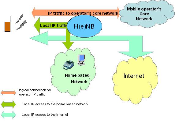 Local IP Access